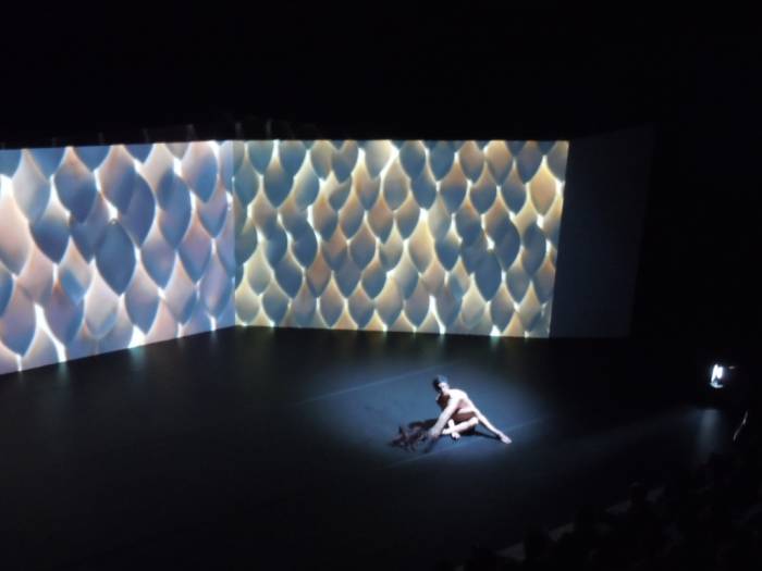 SHSH - News : PENOMBRE PREMIER